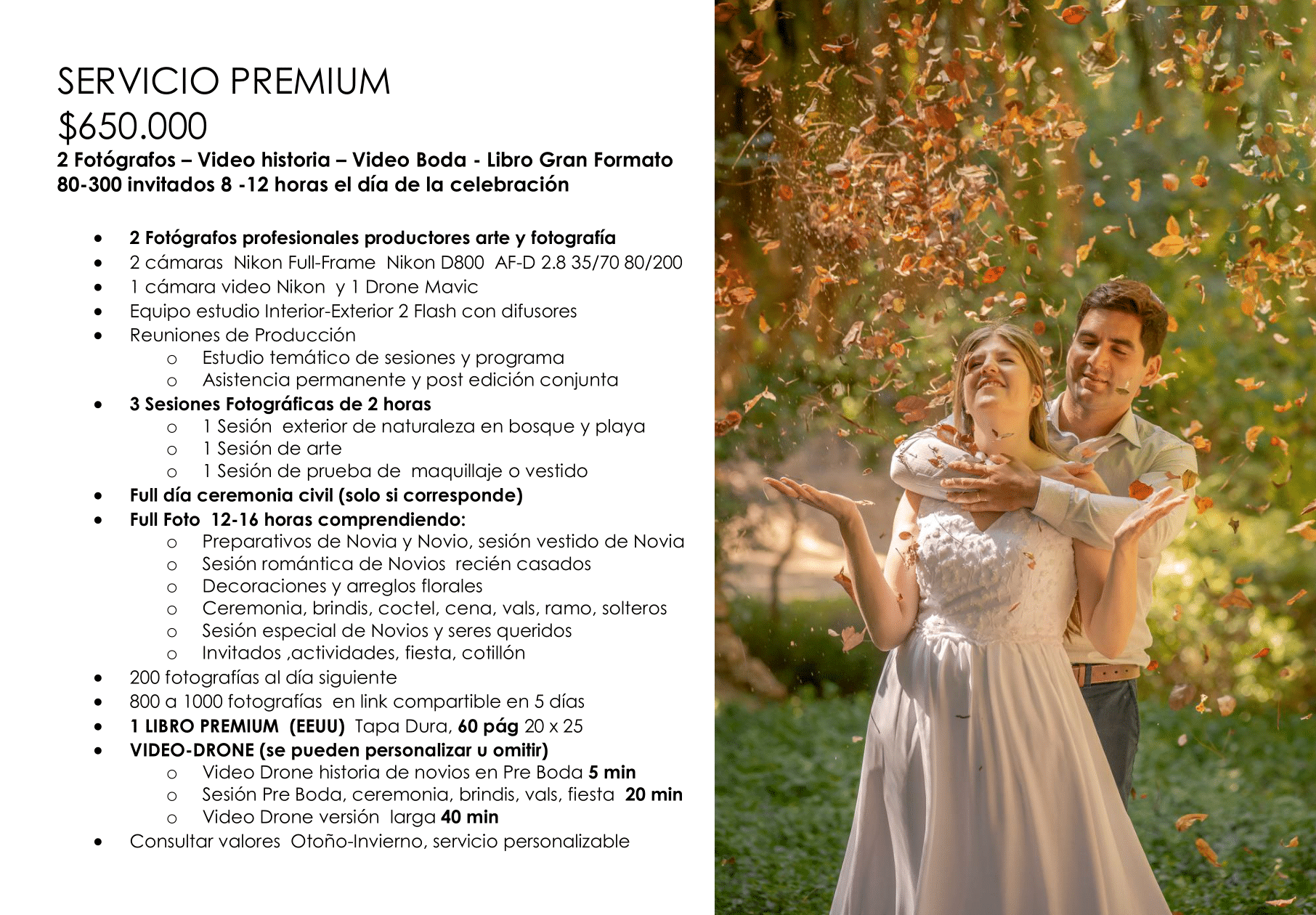 Presupuesto Matrimonio Imagen Boda Alejandro Ruz Premium 10
